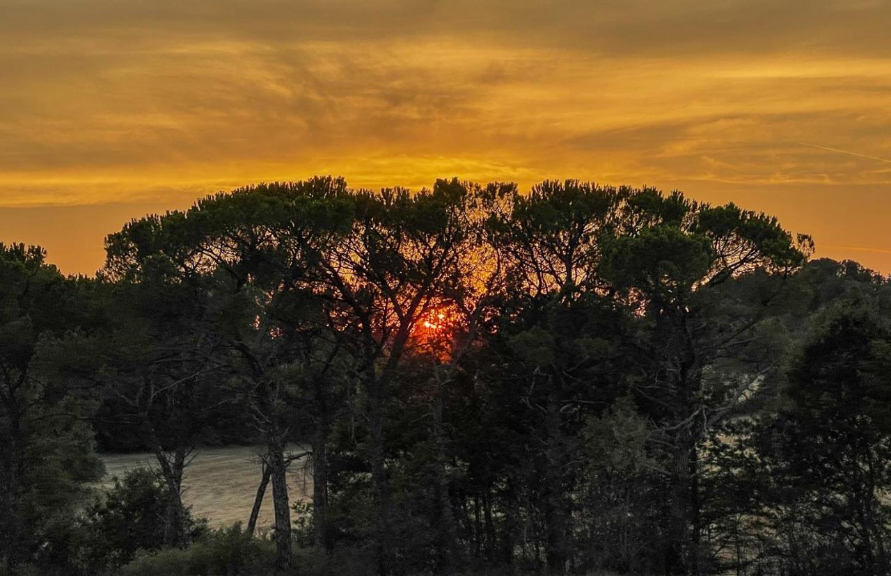 Exclusive Villa With Pool Borgo Pian Di Sala San Gimignano Exterior foto